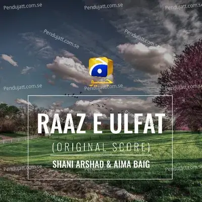 Raaz-E-Ulfat - Shani Arshad album cover 