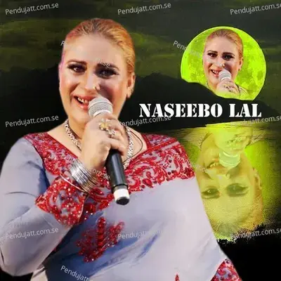 Rab Chan Jeya Yaar Mila - Naseebo Lal album cover 