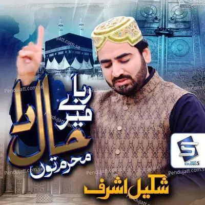 Rabba Mere Haal Da Mehram Tu - Shakeel Ashraf album cover 