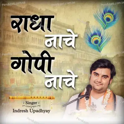 Radha Nache Gopi Nache - Indresh Upadhyay album cover 