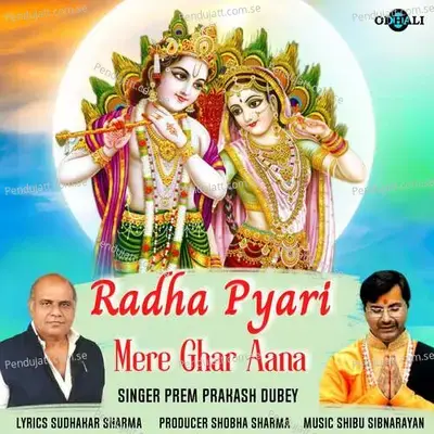 Radha Pyari Mere Ghar Aana - Shibu Sibnarayan