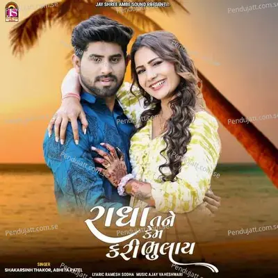 Radha Tane Kem Karibhulay - Shankarsinh Thakor album cover 