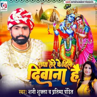 Radha Tere Pe Dil Diwana Hai - Shani Shukla album cover 