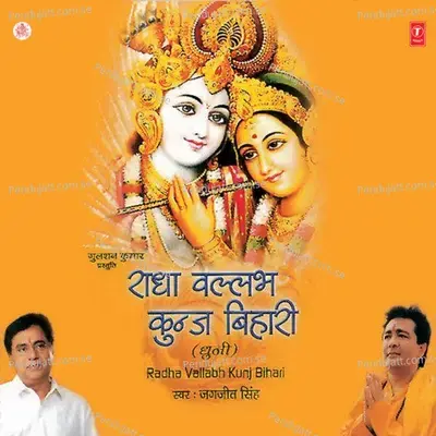 Radha Vallabh Kunj Bihari - Jagjit Singh