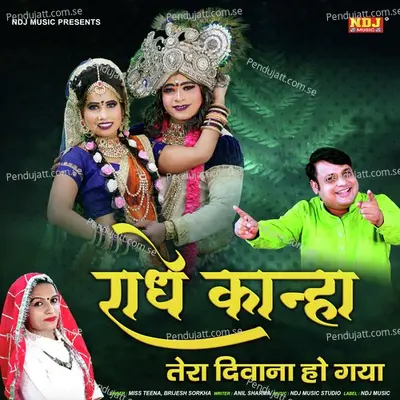 Radhe Kanha Tera Deewana Ho Gya - Miss Teena album cover 