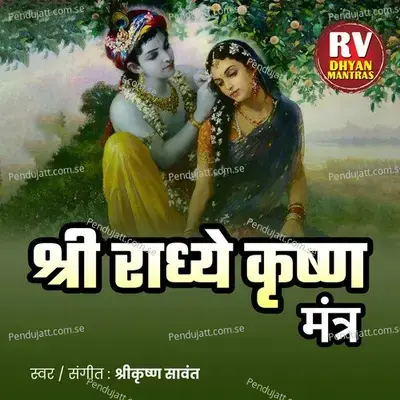 Radhe Krishna Mantra - Shrikrishna Sawant album cover 