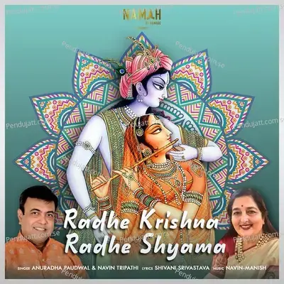 Radhe Krishna Radhe Shyama - Anuradha Paudwal album cover 