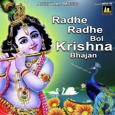 Govinda Govinda Radhe Radhe - Amar Anand album cover 