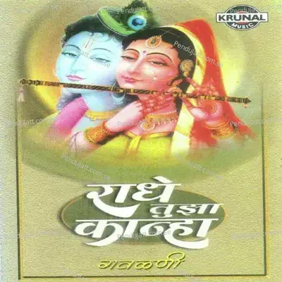 Radhe Tuza Kanha - Various Artists cover album