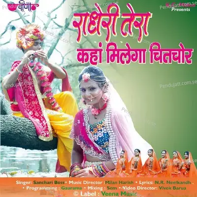 Radheri Tera Kaha Milega Chitchor - Sanchari Boss album cover 