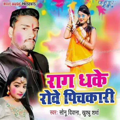 Rag Dhake Rowe Pichakari - Sonu Diwana album cover 