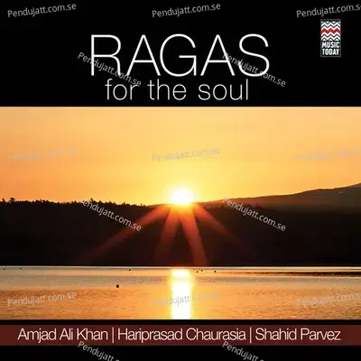 Raga Brindabani Sarang - Raga Brindabani Sarang - Ektaal - Shahid Parvez album cover 