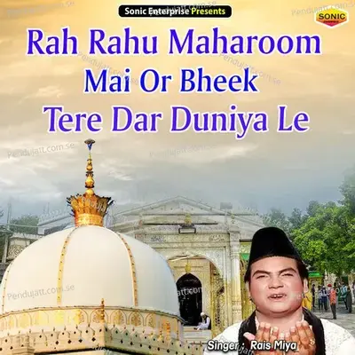 Rah Rahu Maharoom Mai Or Bheek Tere Dar Duniya Le - Rais Miyan album cover 