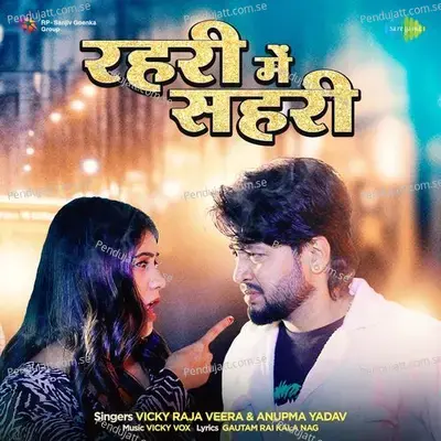 Rahari Mein Sahari - Vicky Raja Veera album cover 