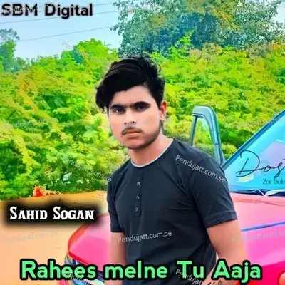 Rahees Melne Tu Aaja - Sahid Sogan album cover 