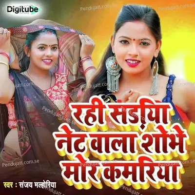 Rahi Sadiya Net Wala Shobhe Mor Kamriya - Sanjay Maloriya album cover 