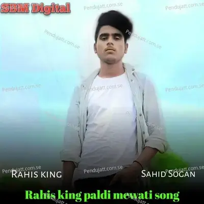 Rahis King Paldi Mewati Song - Sahid Sogan album cover 