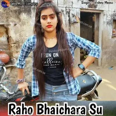Raho Bhaichara Su - Vishnu Meena album cover 