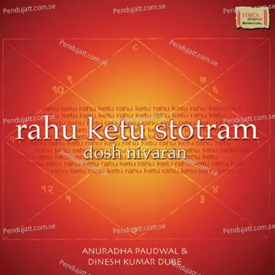 Rahu Stotram - Dinesh Kumar Dube album cover 