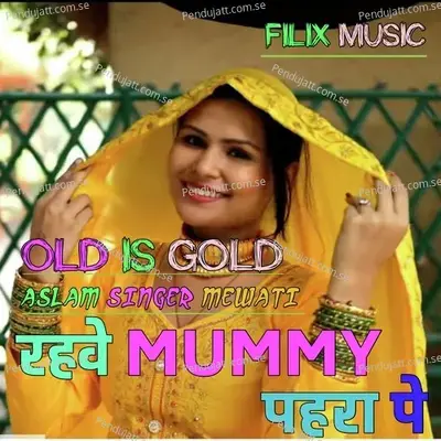 Rahve Mummy Pahra Pe - Aslam Singer Mewati album cover 