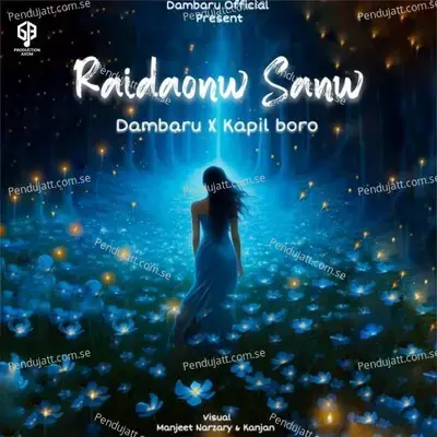 Raidaonw Sanw - Dambaru album cover 