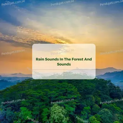 Rain Sounds In The Forest And Sounds - Lakhan Hire album cover 