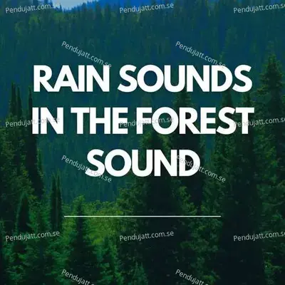 Rain Sounds In The Forest Sound - Lakhan Hire album cover 