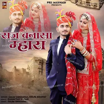 Raj Banasa Mhara - Salim Shekhawas