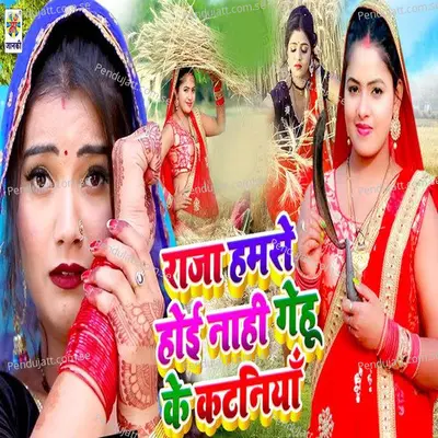 Raja Hamse Hoi Nahi Gehu Ke Kataniya - Khesari Singh album cover 