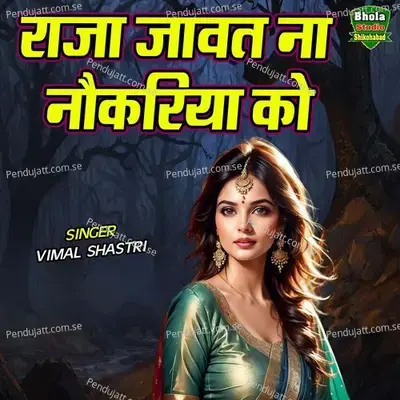 Raja Jawat Na Naukariya Ko - Vimal Shastri album cover 