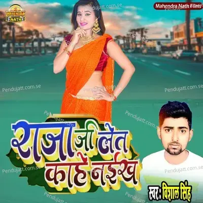 Raja Ji Let Kahe Naikhi - Vishal Singh album cover 