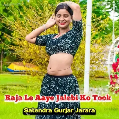 Raja Le Aaye Jalebi Ko Took - Satendra Gurjar Jarara album cover 