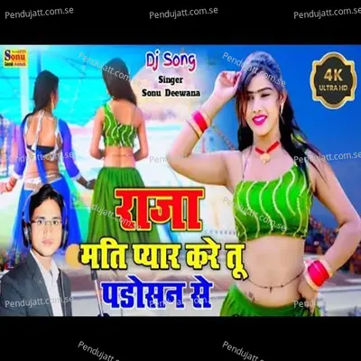 Raja Mati Payar Kare Tu Padosan Se - Sonu Gayak Ambah album cover 