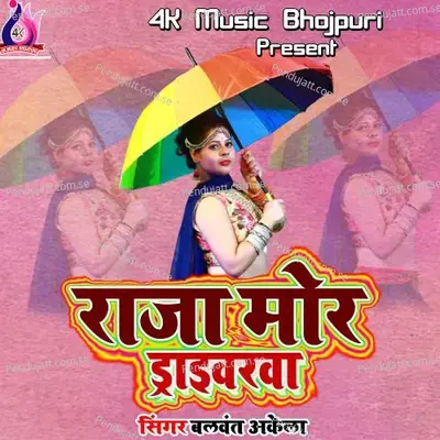 Raja Mor Driverwa - Anil Kumar cover album