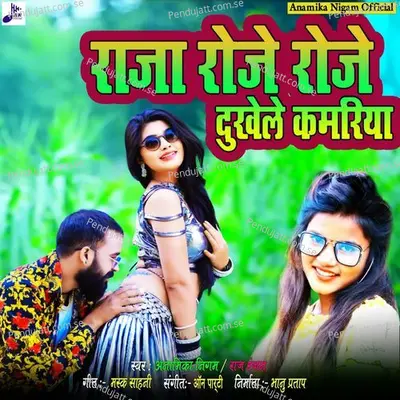 Raja Roje Roje Dukhele Kamariya - Anamika Nigam album cover 