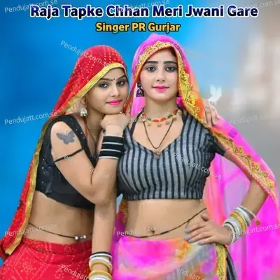 Raja Tapke Chhan Meri Jwani Gare - PR Gurjar album cover 