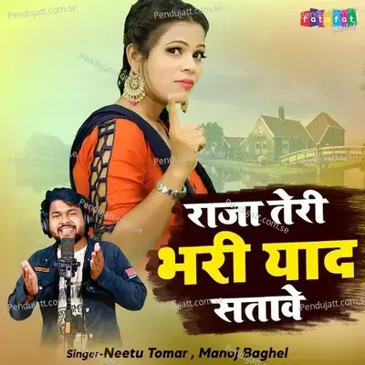 Raja Teri Bhari Yaad Satawe - Manoj Baghel album cover 