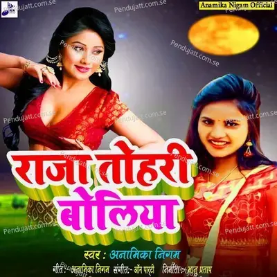 Raja Tohari Boliya - Anamika Nigam album cover 