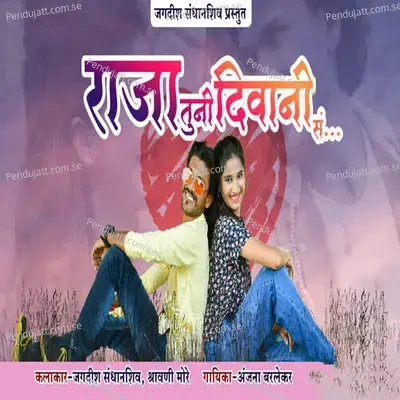 Raja Tuni Diwani Sa - Anjana Barlekar album cover 