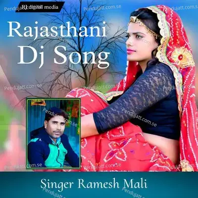 Rajasthani Dj Songs - Ramesh Mali album cover 