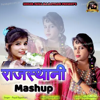 Rajasthani Mashup - Payal Rajasthani album cover 