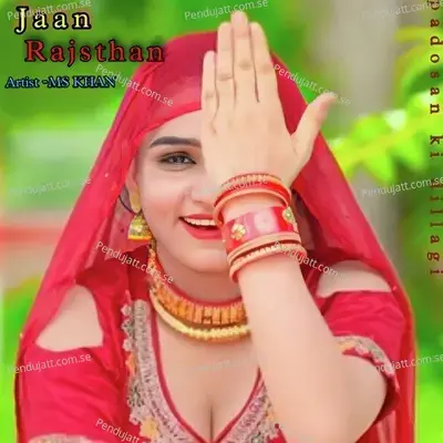 Rajsthani Mev Brand - MS Khan album cover 