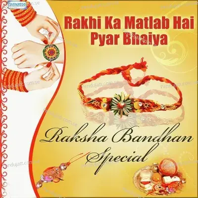 Mere Rakhi Ka Matlab - Sadhana Sargam album cover 