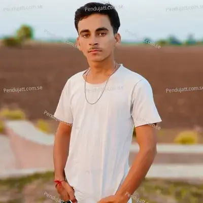Raksha Bandhan Special Meena - KR Devta album cover 