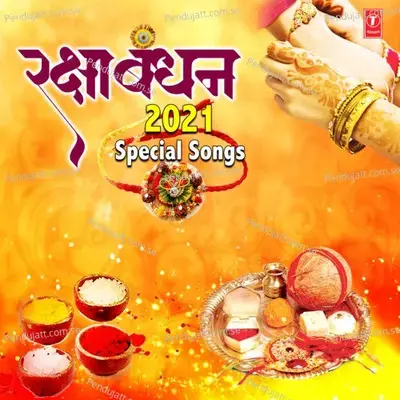 Beera Bandhi Re Bandhi Thare Rakhdi - Alka Yagnik album cover 