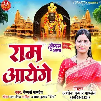 Ram Aayenge - Vaishnavi Pandey album cover 