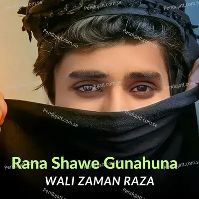 Jawand Ba Sanga Terawama - Wali Zaman Raza album cover 