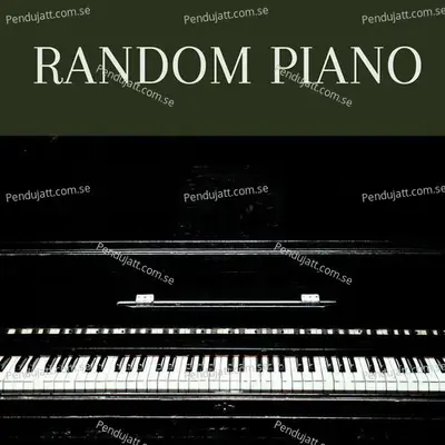 Random Piano - roger xc album cover 