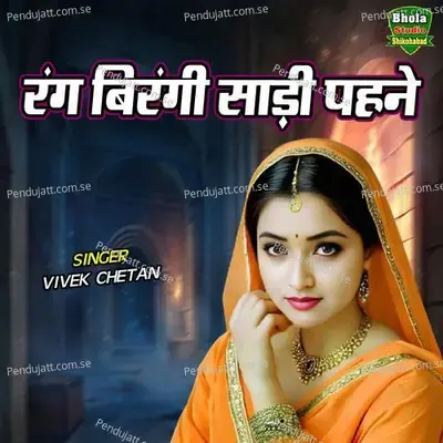 Rang Birangi Saree Pehne - Vivek Chetan album cover 