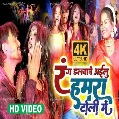 Rang Dalwave Ailu Hamra Toli Me - Nitish Aryan album cover 